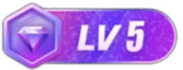 LV5 等级-LV5-至道文化