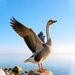 了一山人的头像-至道文化传媒